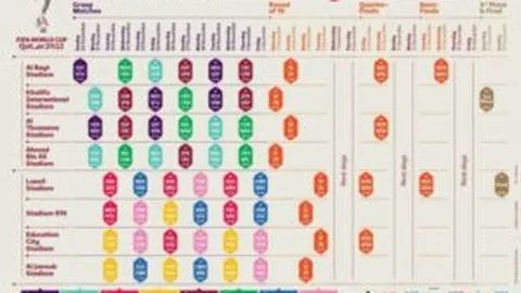 中国女子冰壶队世赛夺铜成功晋级冬奥会